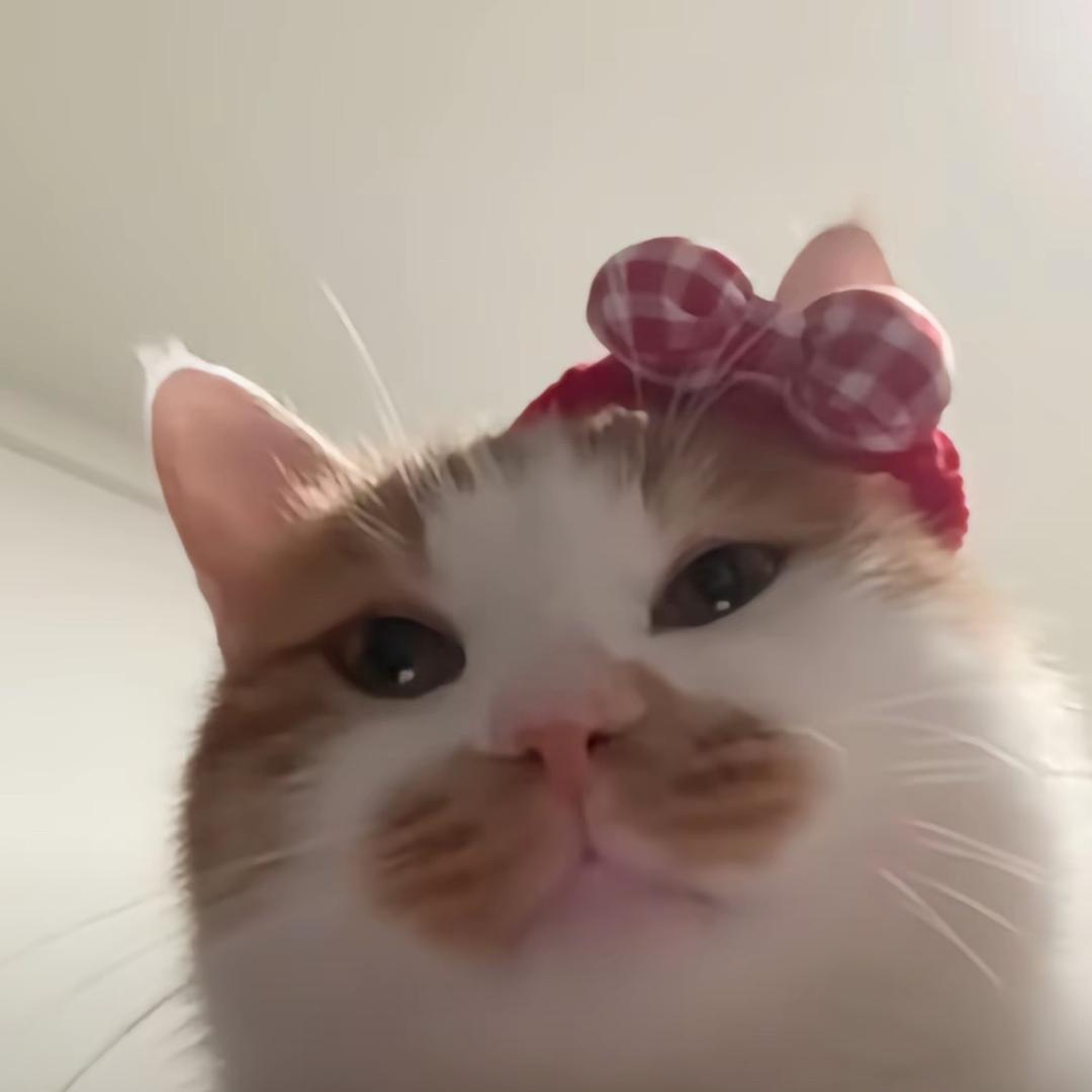 知穗