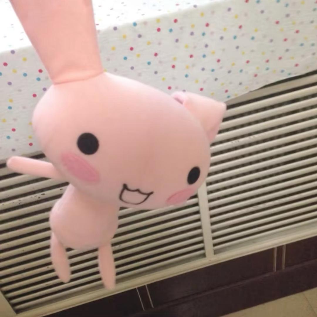 惒