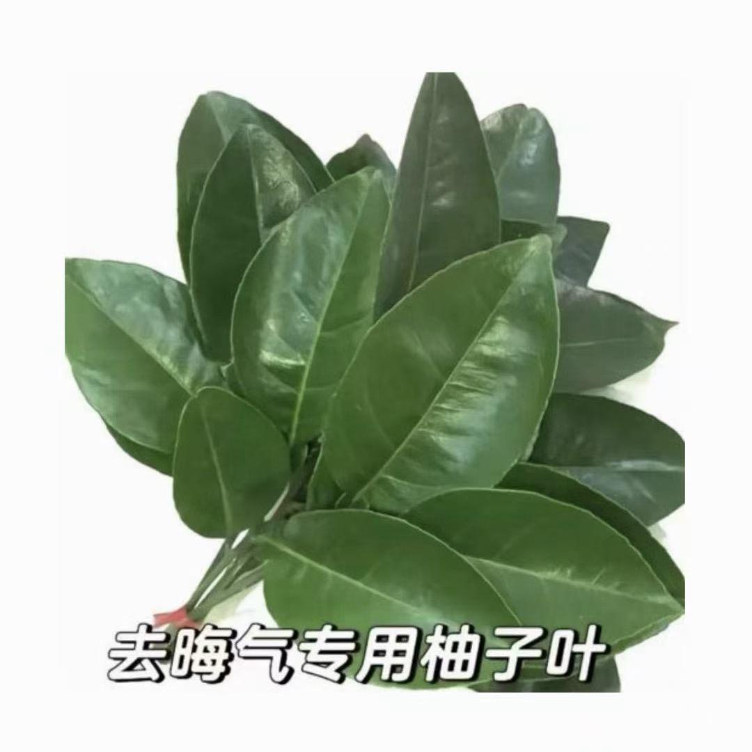 栩宸