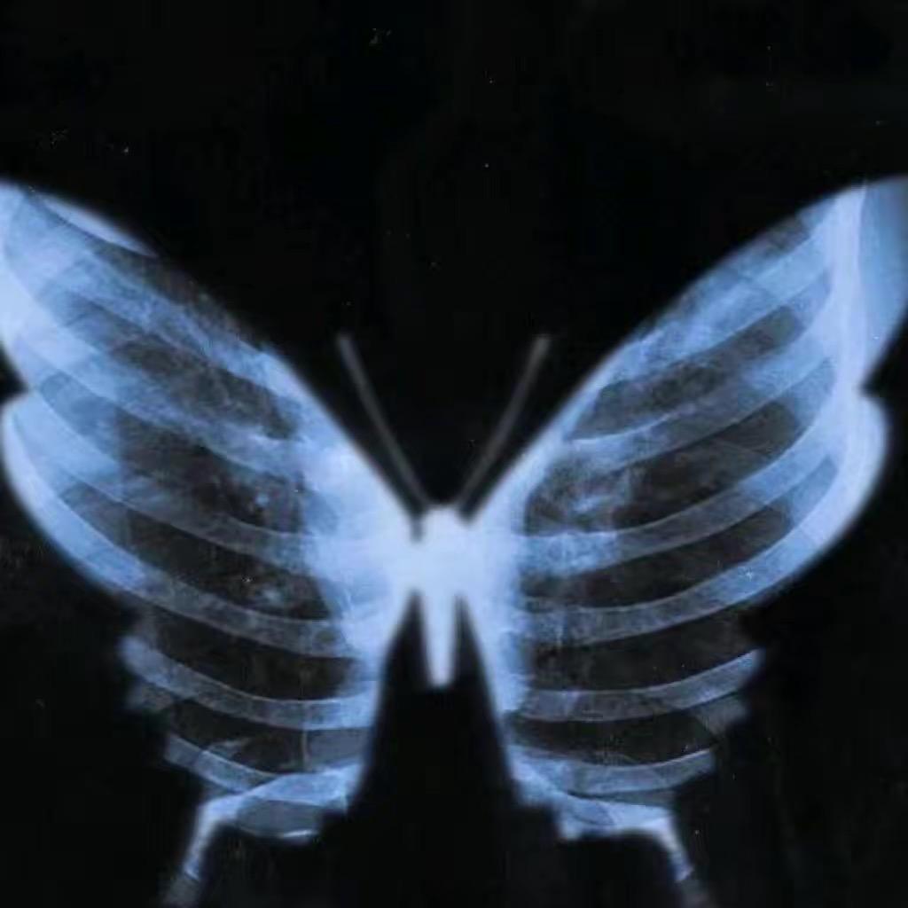 蜉蝣🦋