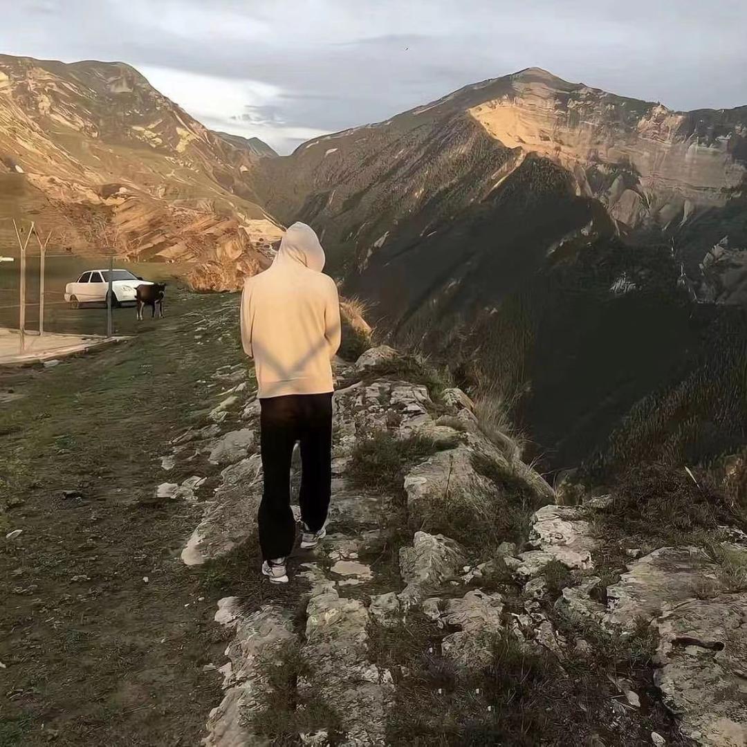 喜欢赵的杨.✨