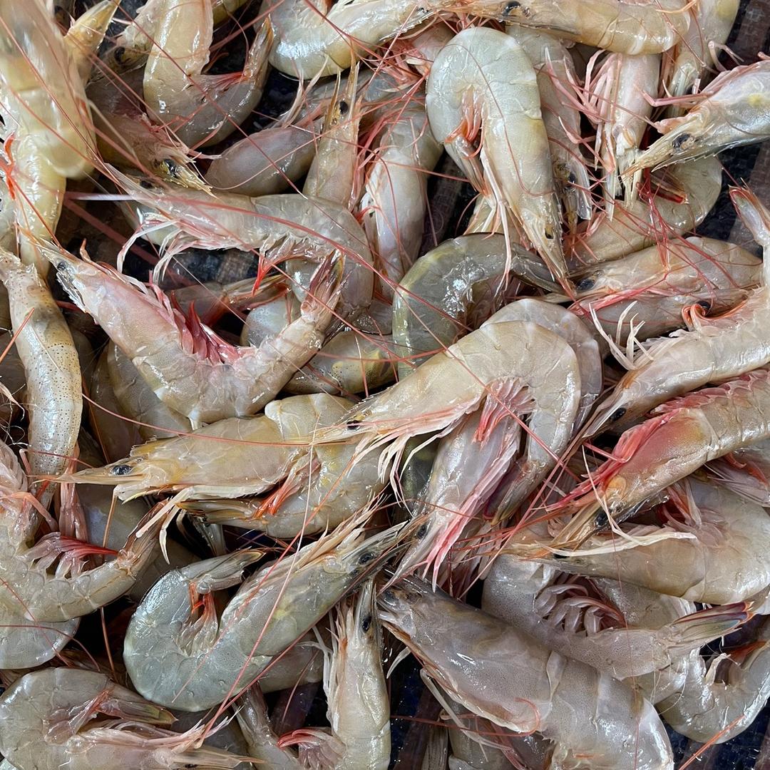 阳江市海聚缘