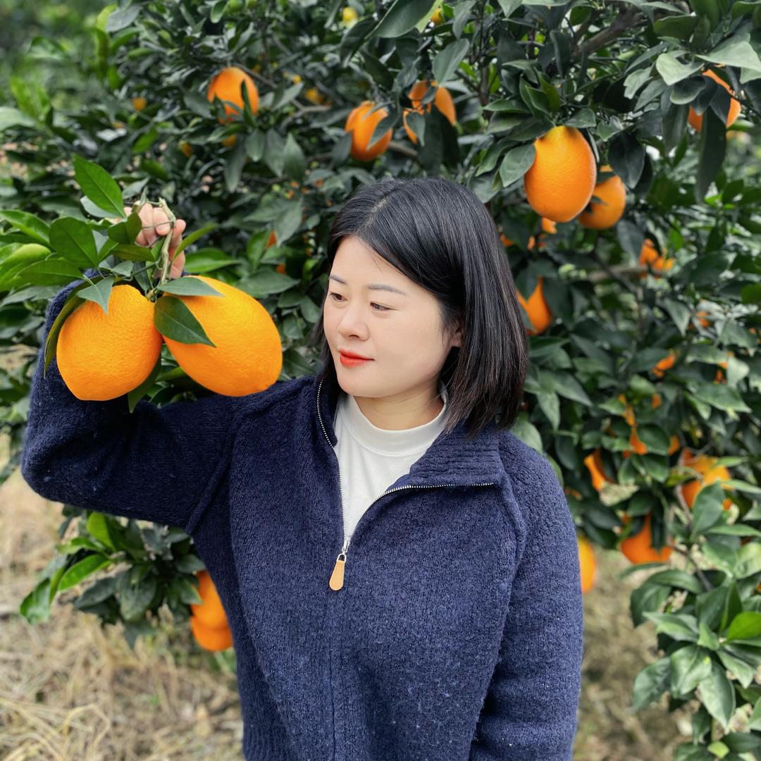 橙小妹果园甄选