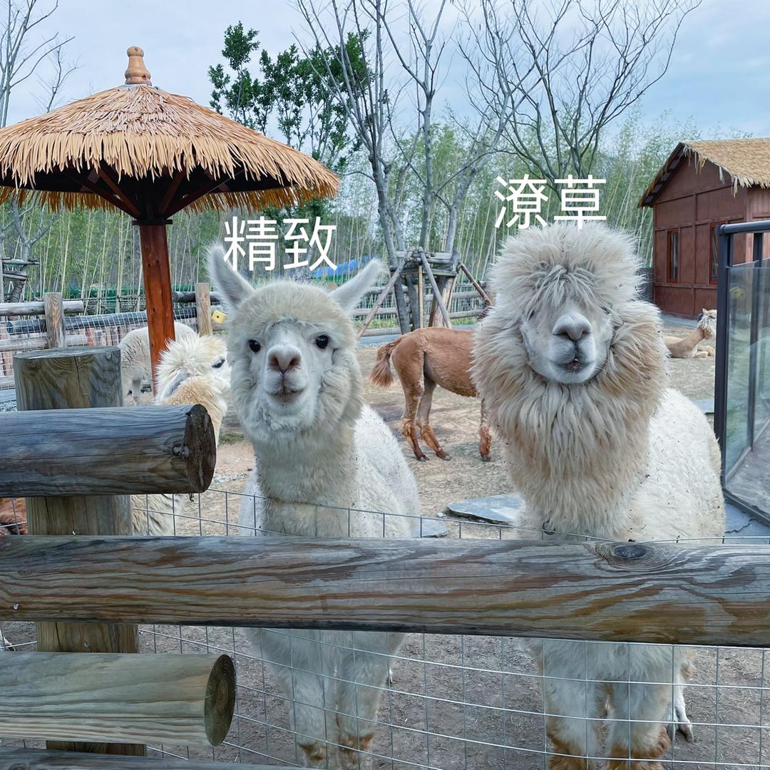 Duang~~~