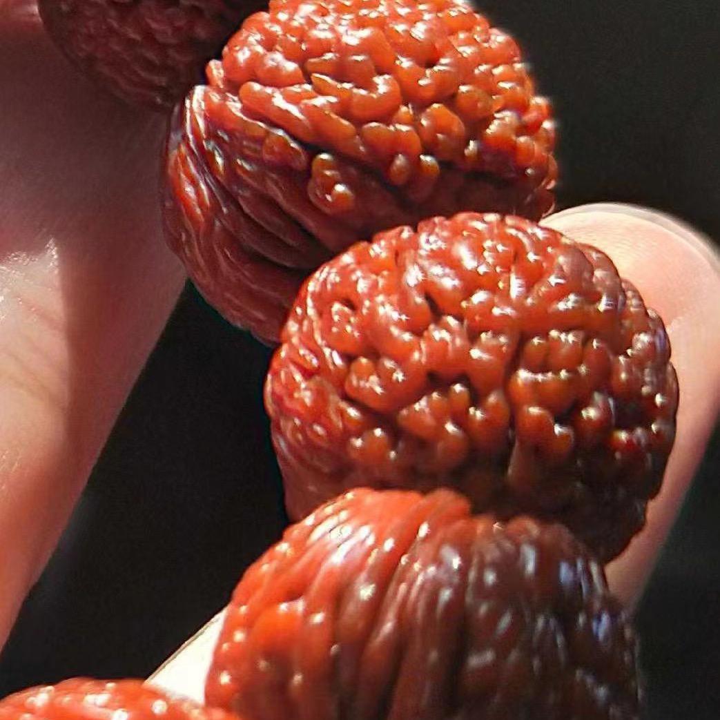 豆哥桃核