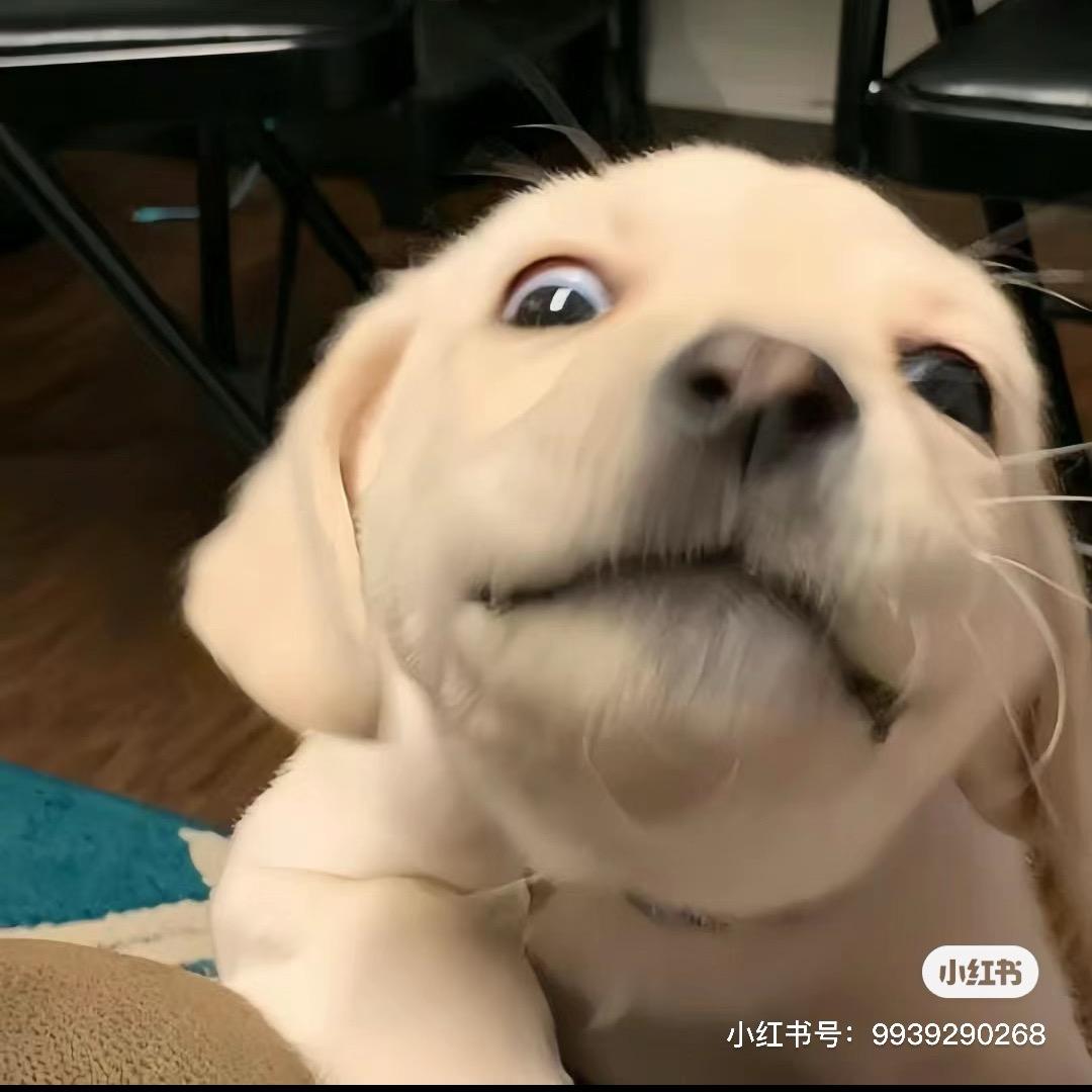 🌈一点不紧  张先生