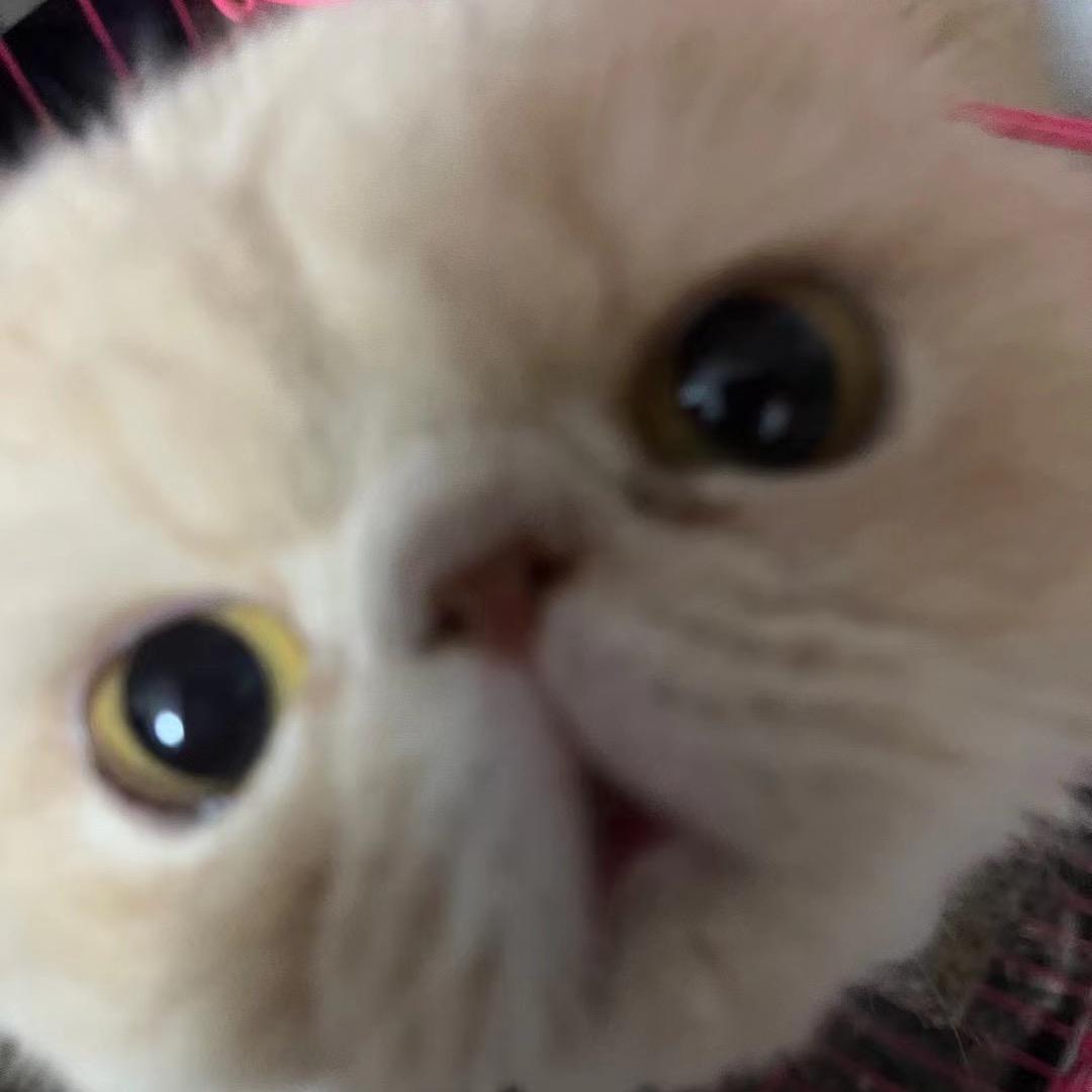 马力