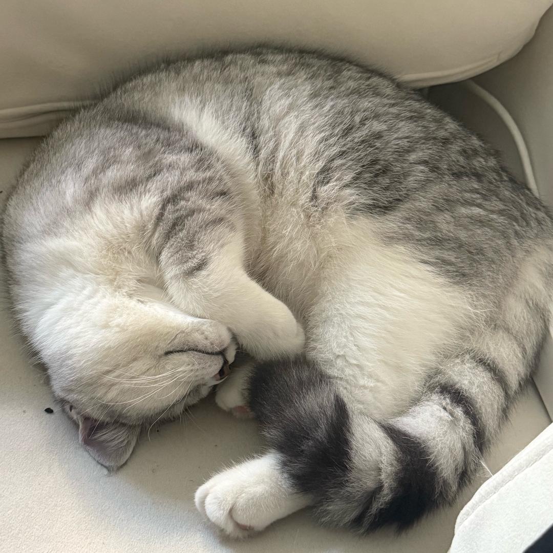 泰坤宠物食品-小曦