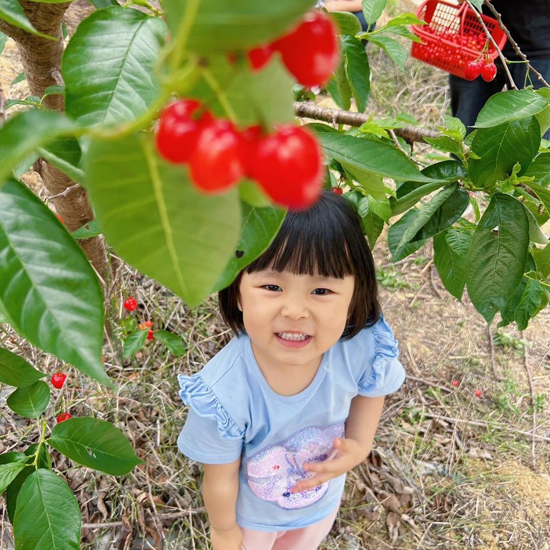 小馍馍成长日记