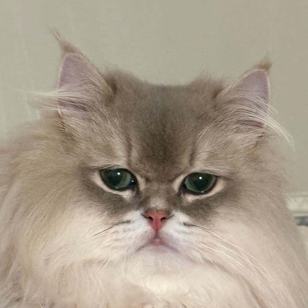 牛三好