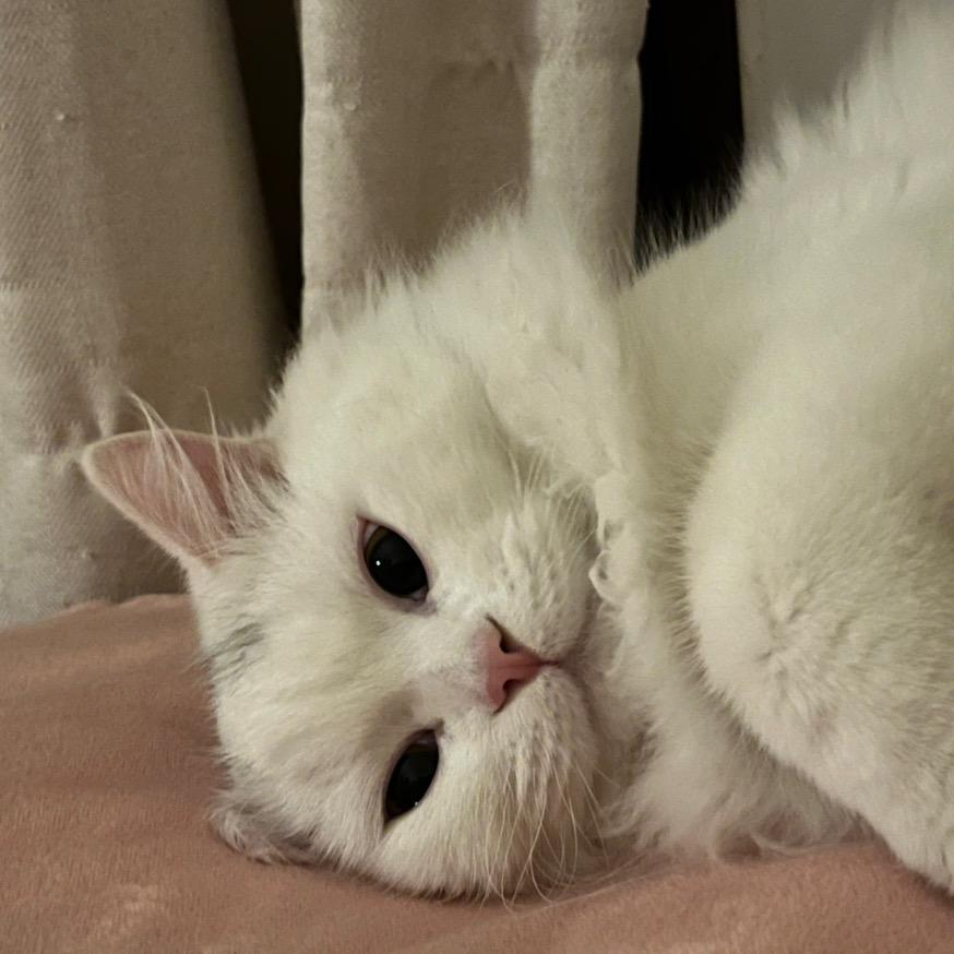 奶糕小朋友成长日记