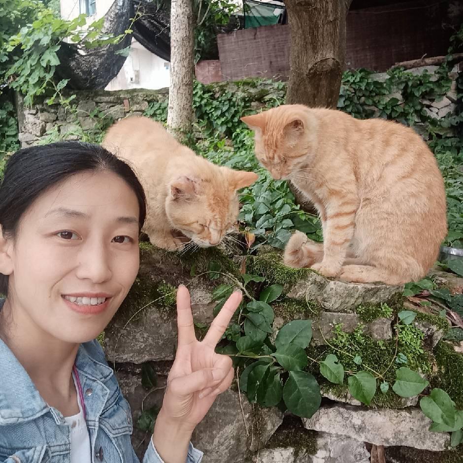 吵吵妈和她的毛孩子们