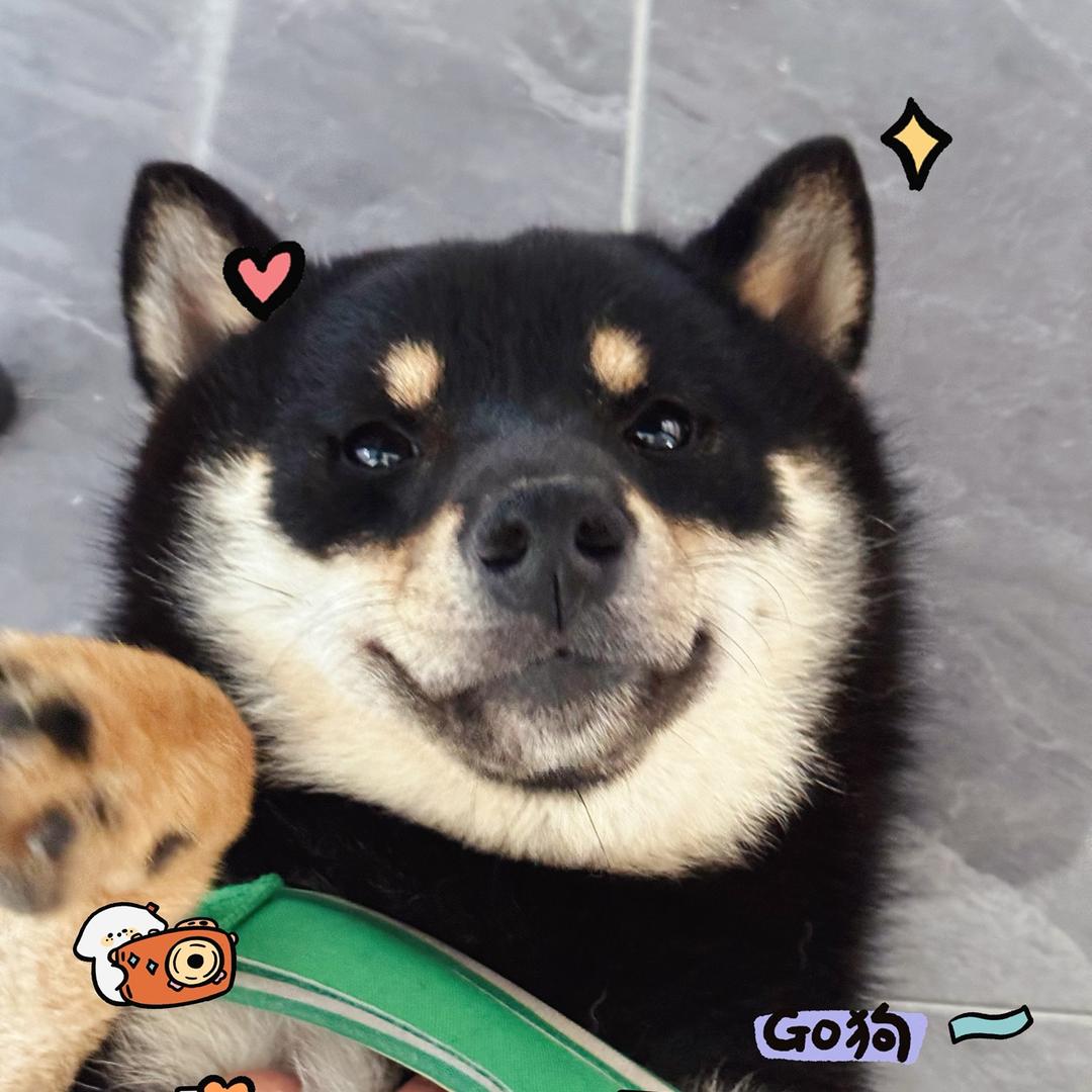 宜彤