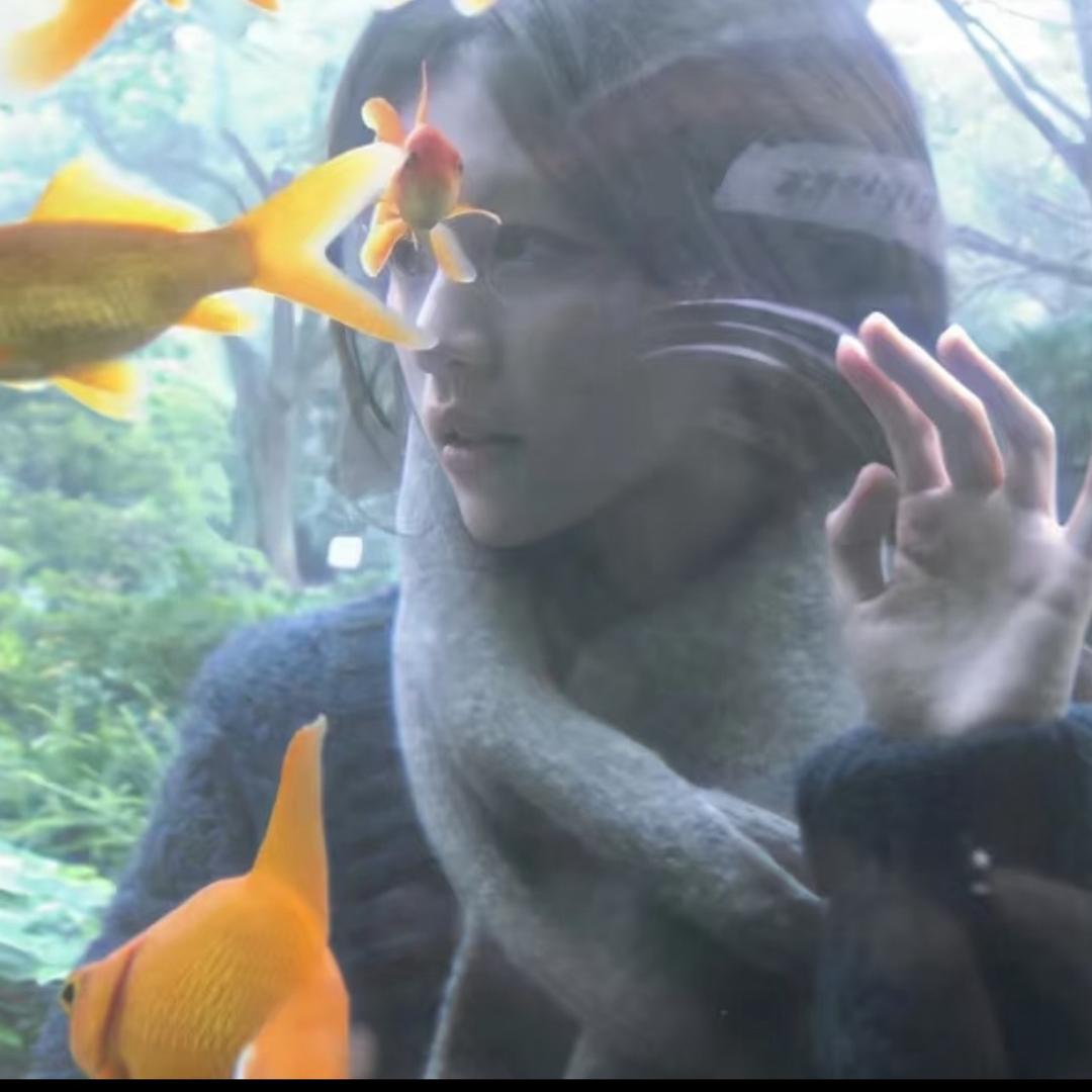 鱼儿睡着啦（养分版）