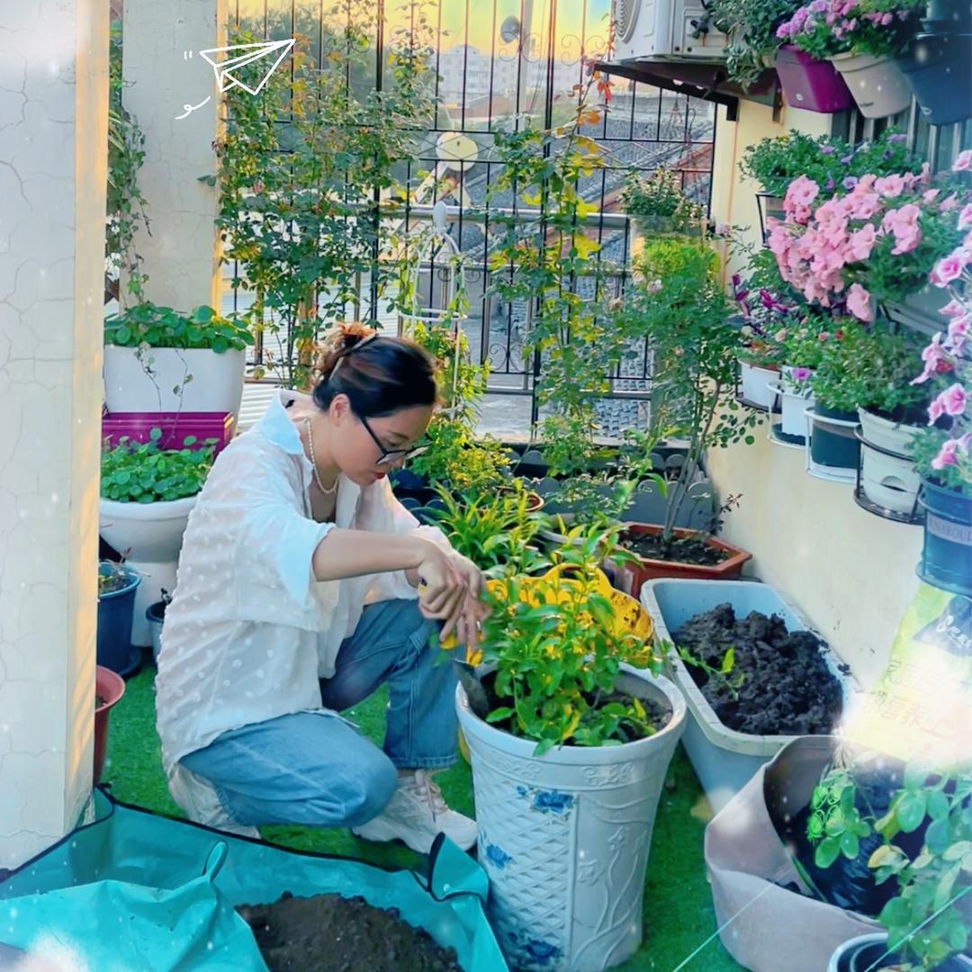 大萌☁️种植园