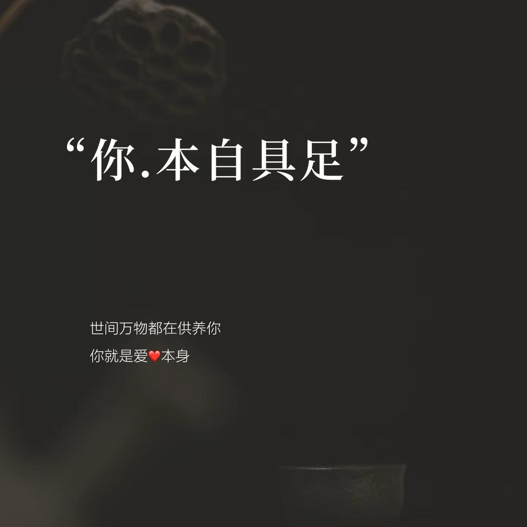 再无一人恰似我