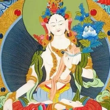 偷偷许愿✨