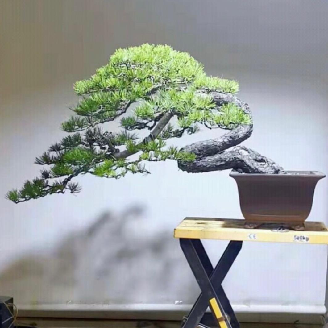 佳景园艺