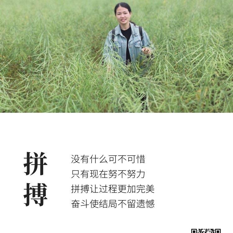 小范