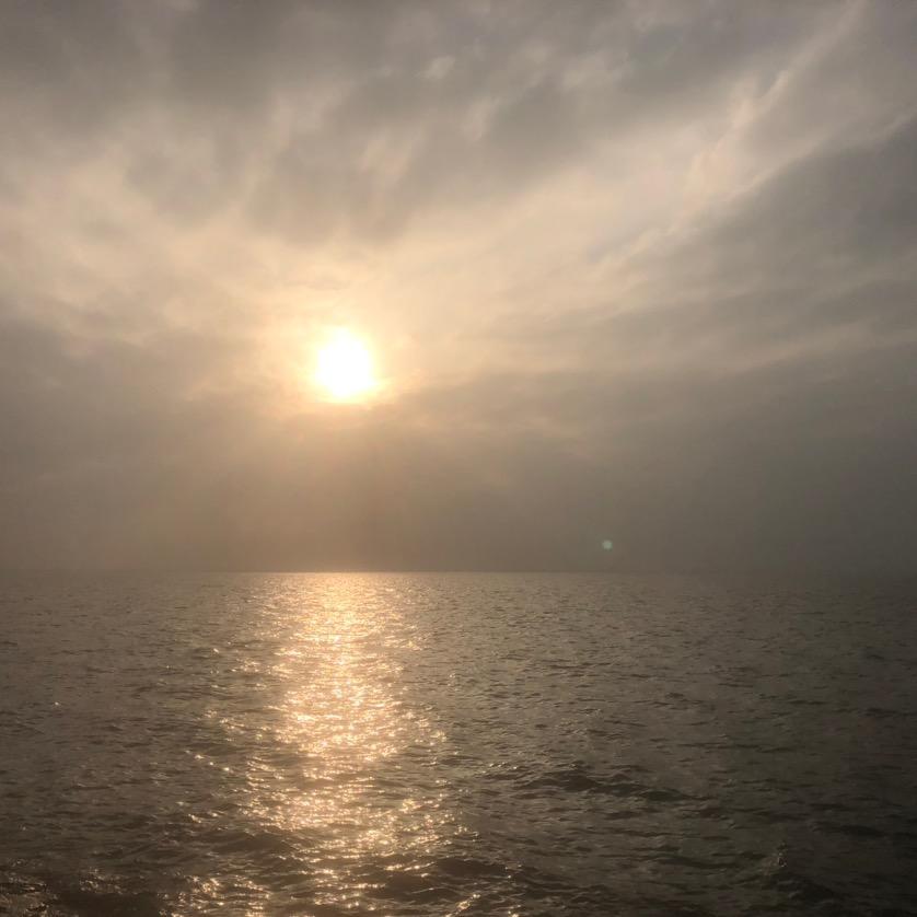 [面朝大海]