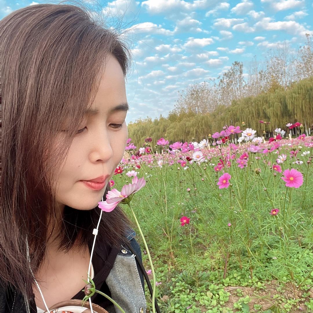 向阳花🌼