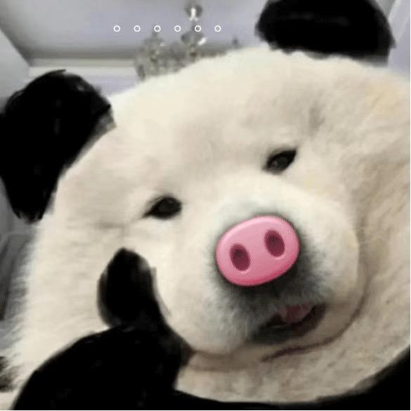 西格玛男孩
