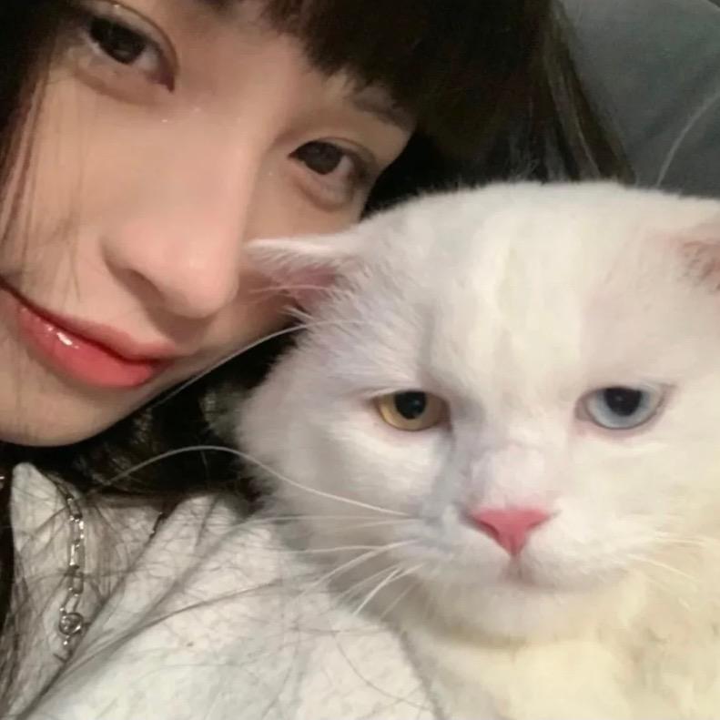 猪蹄不好次