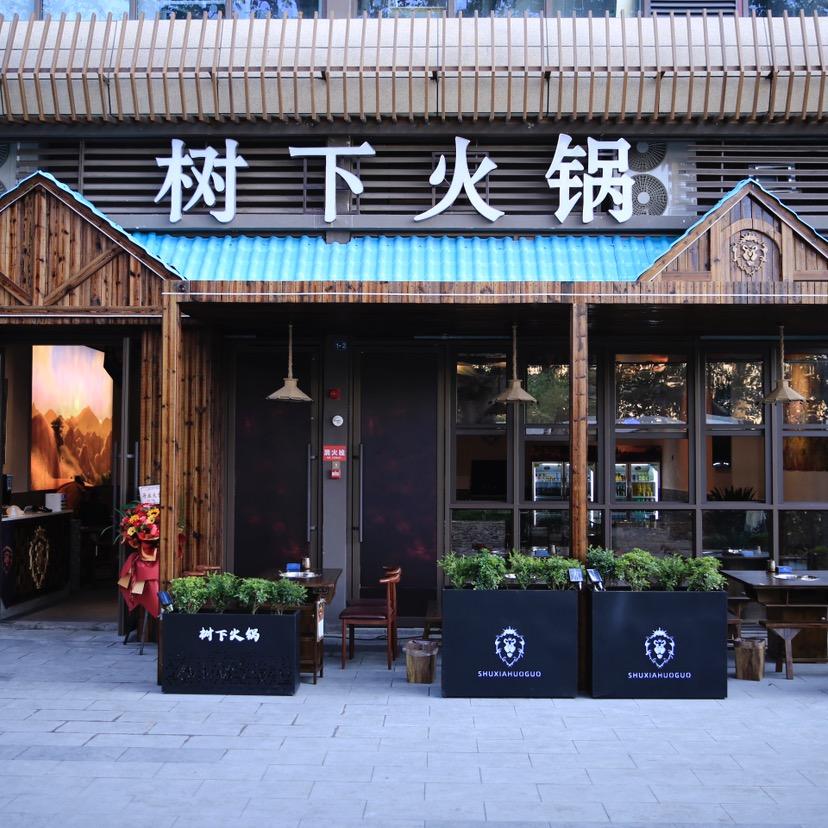 树下火锅官方号
