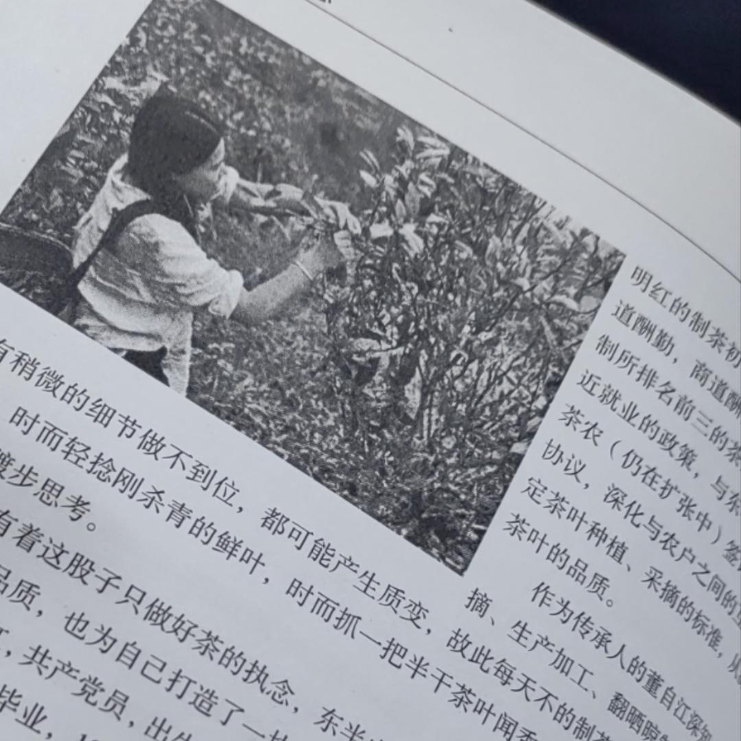 双江佤赛茶叶有限公司