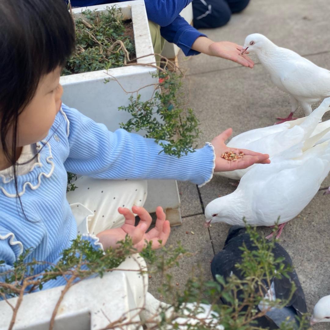 花花爱生活