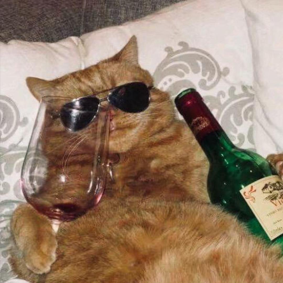 可乐加加加冰🧊