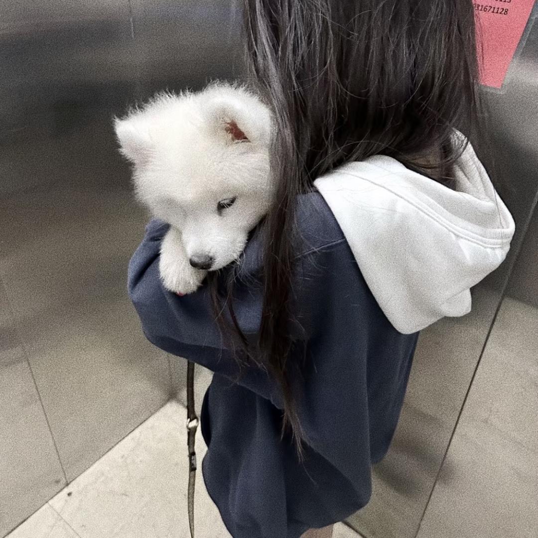 温 景 宜
