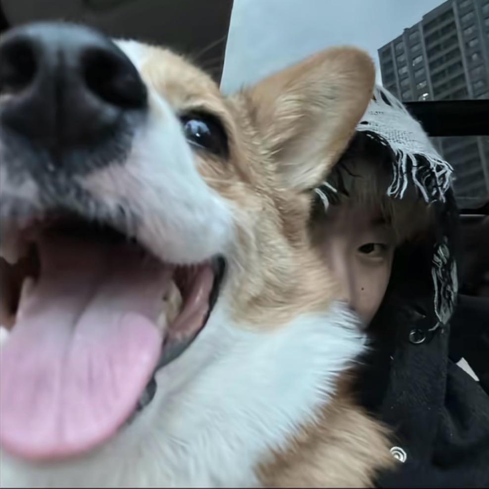 你的爱玩不明白