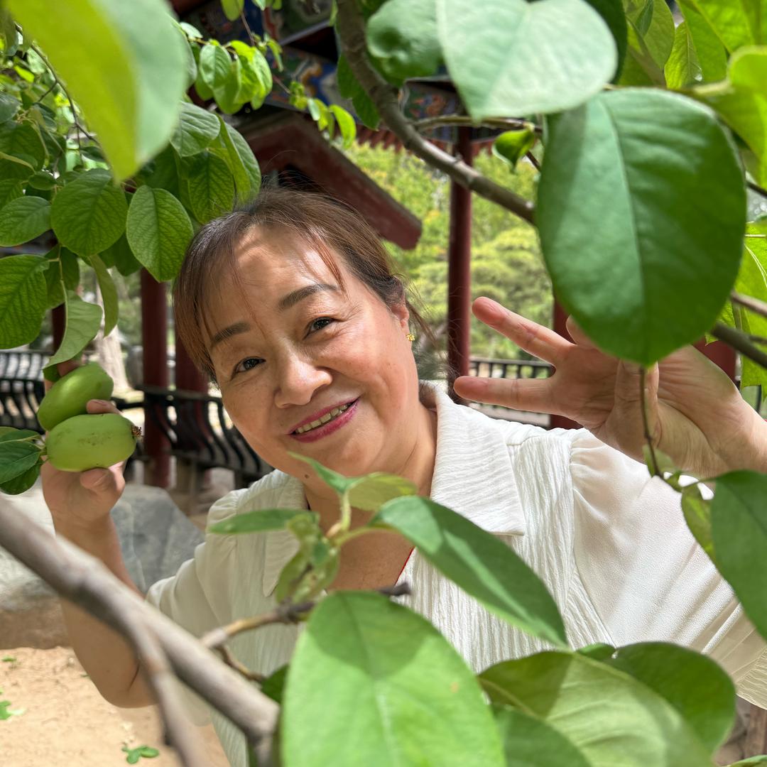 🌿幸运相随🌿