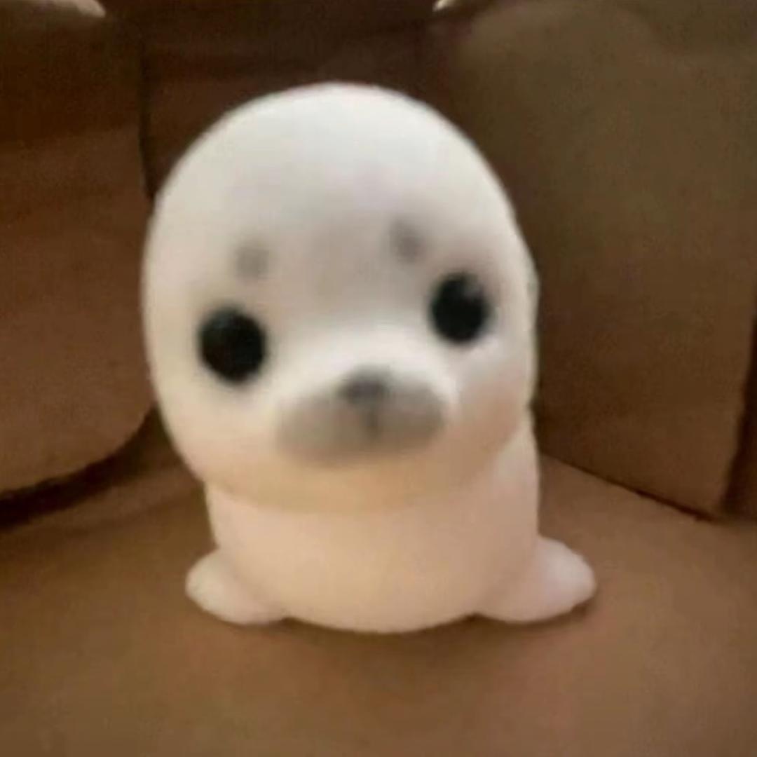 99观测日记