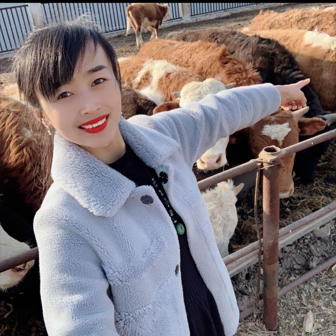 开封杞县苏木调理小牛犊的