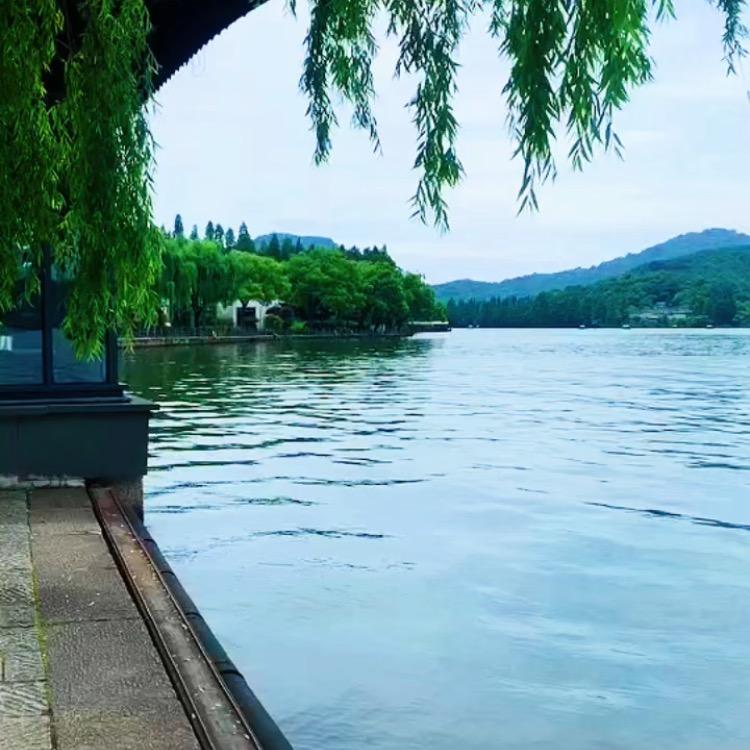 风🍑景茹🍑画