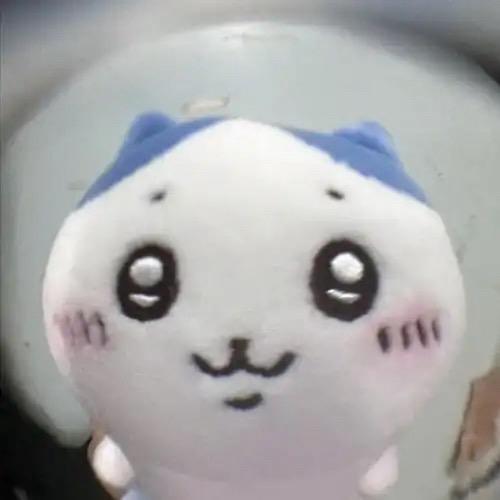 我也不懂漓