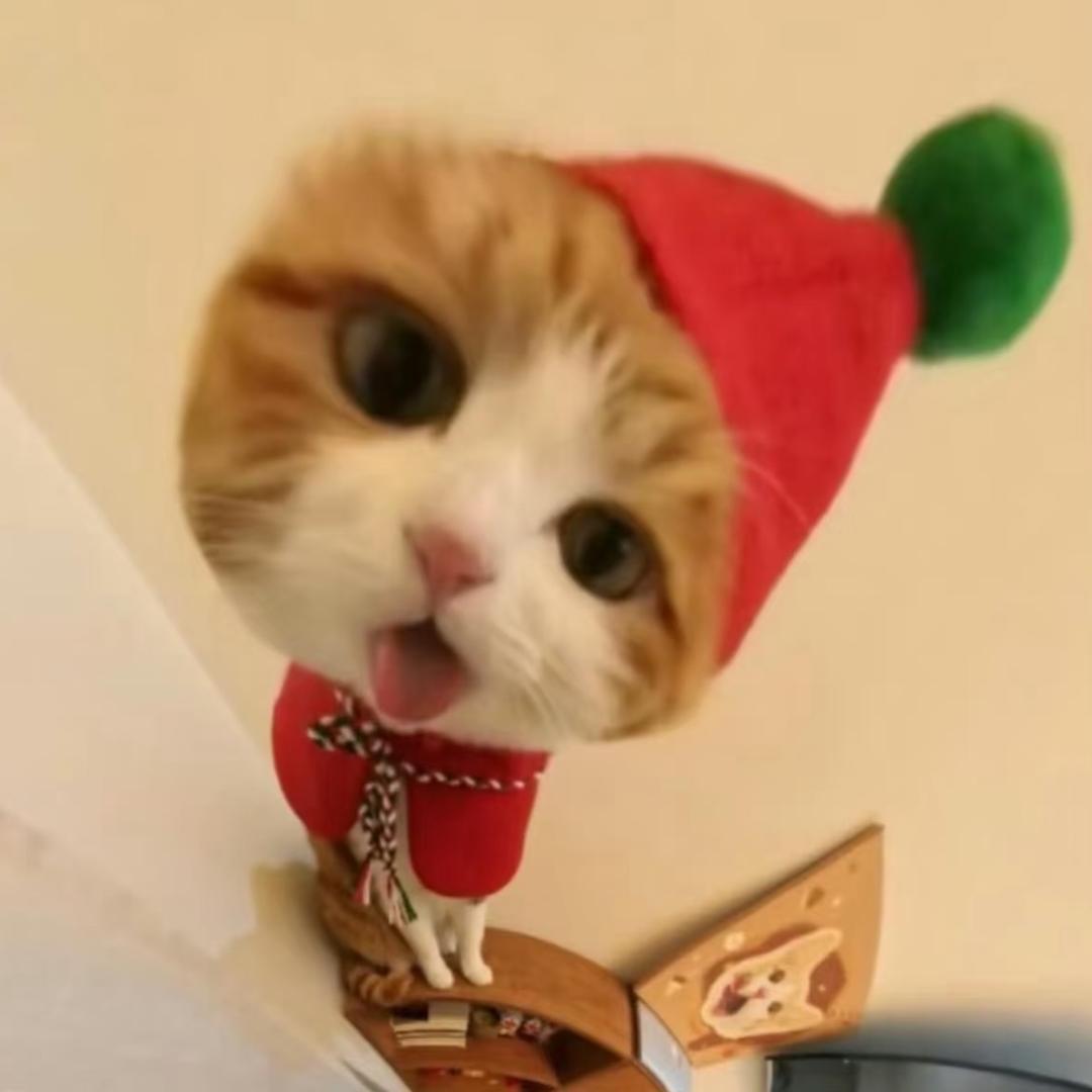 Chaeyang_R