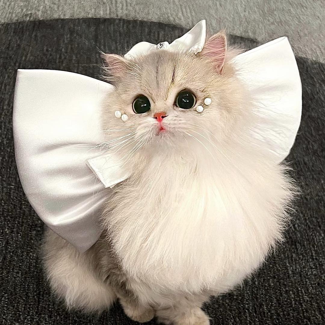 都芙水晶·tof crystal