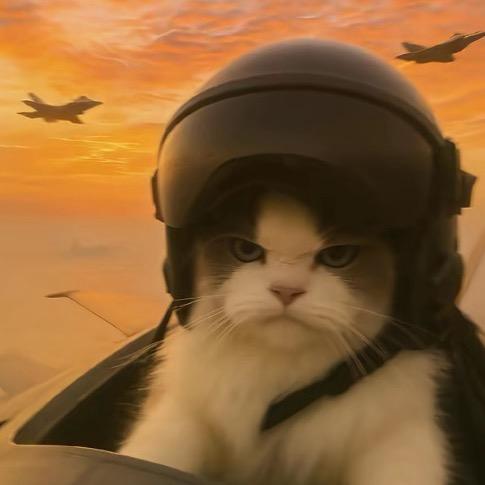 叉叉叉（三角洲行动）