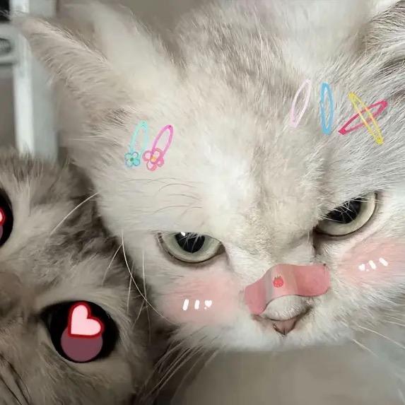 妍旭🪷
