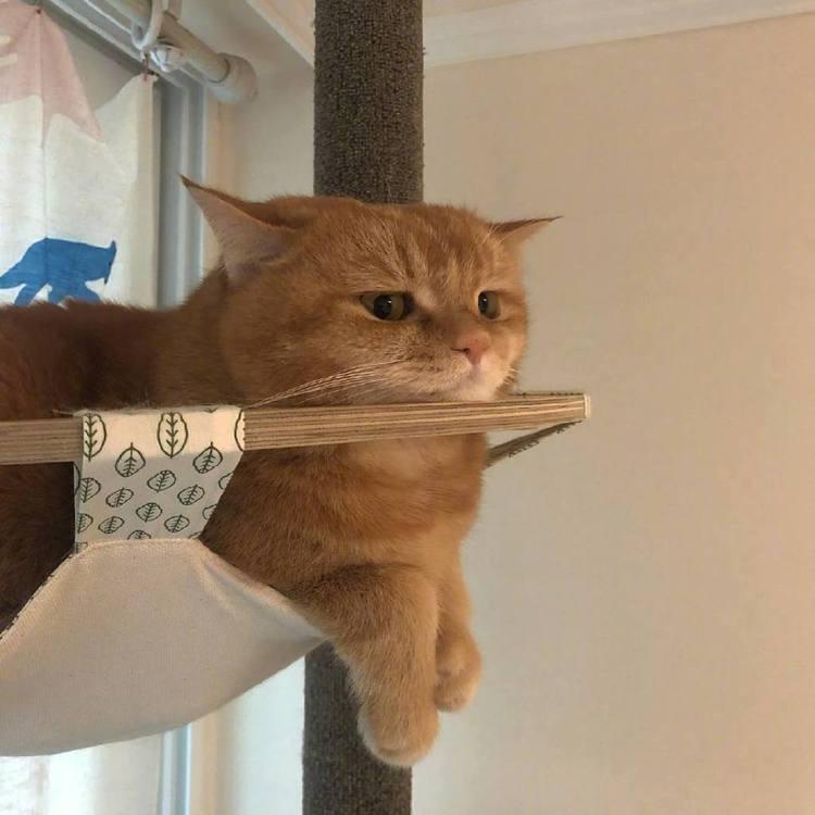 🥷’