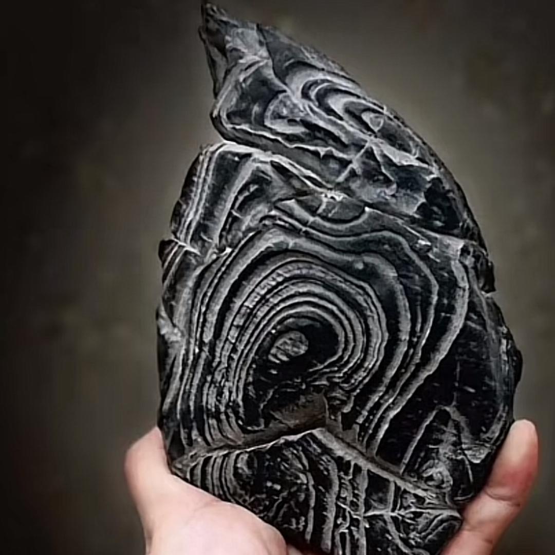 一线石农白马纹石