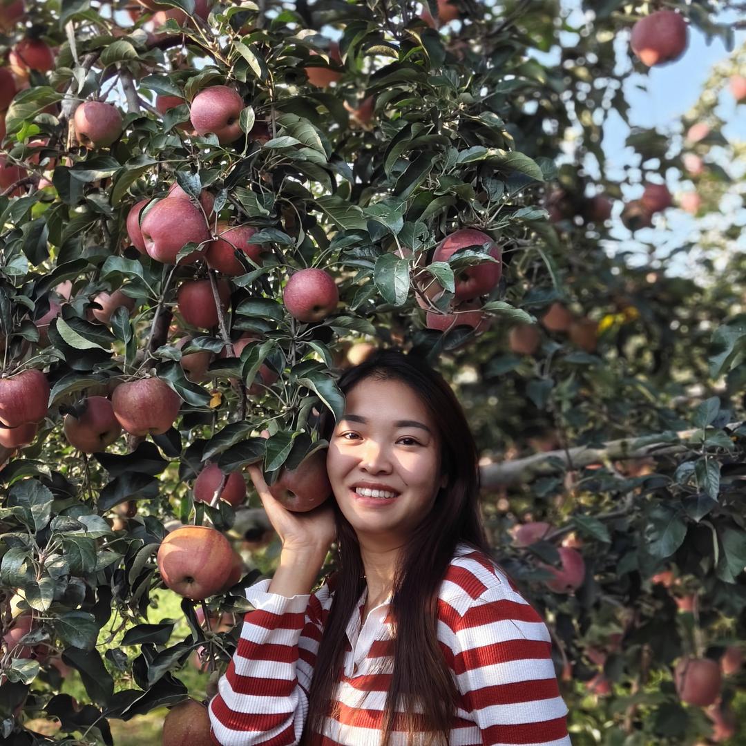 锄留香果子铺
