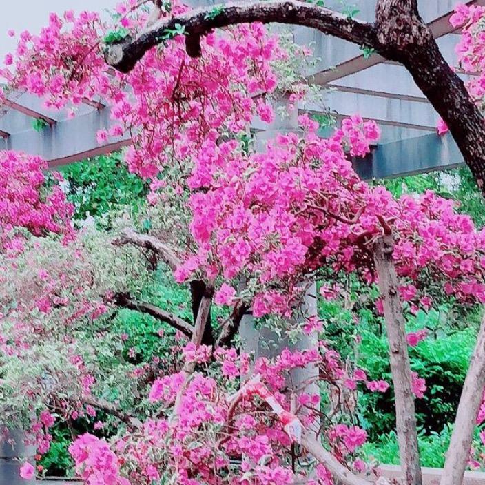 @欣赏