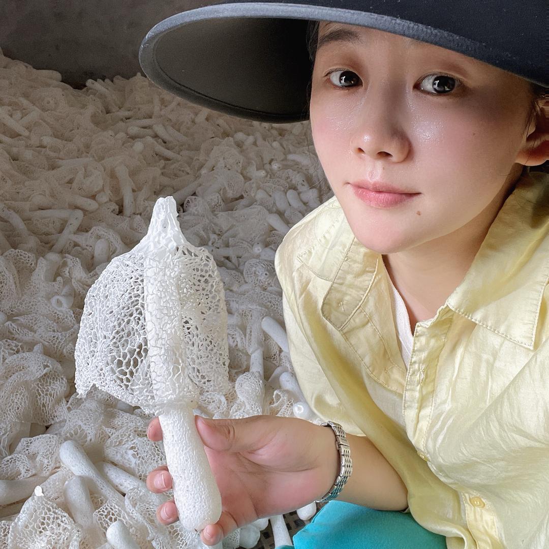竹荪妹珊宝