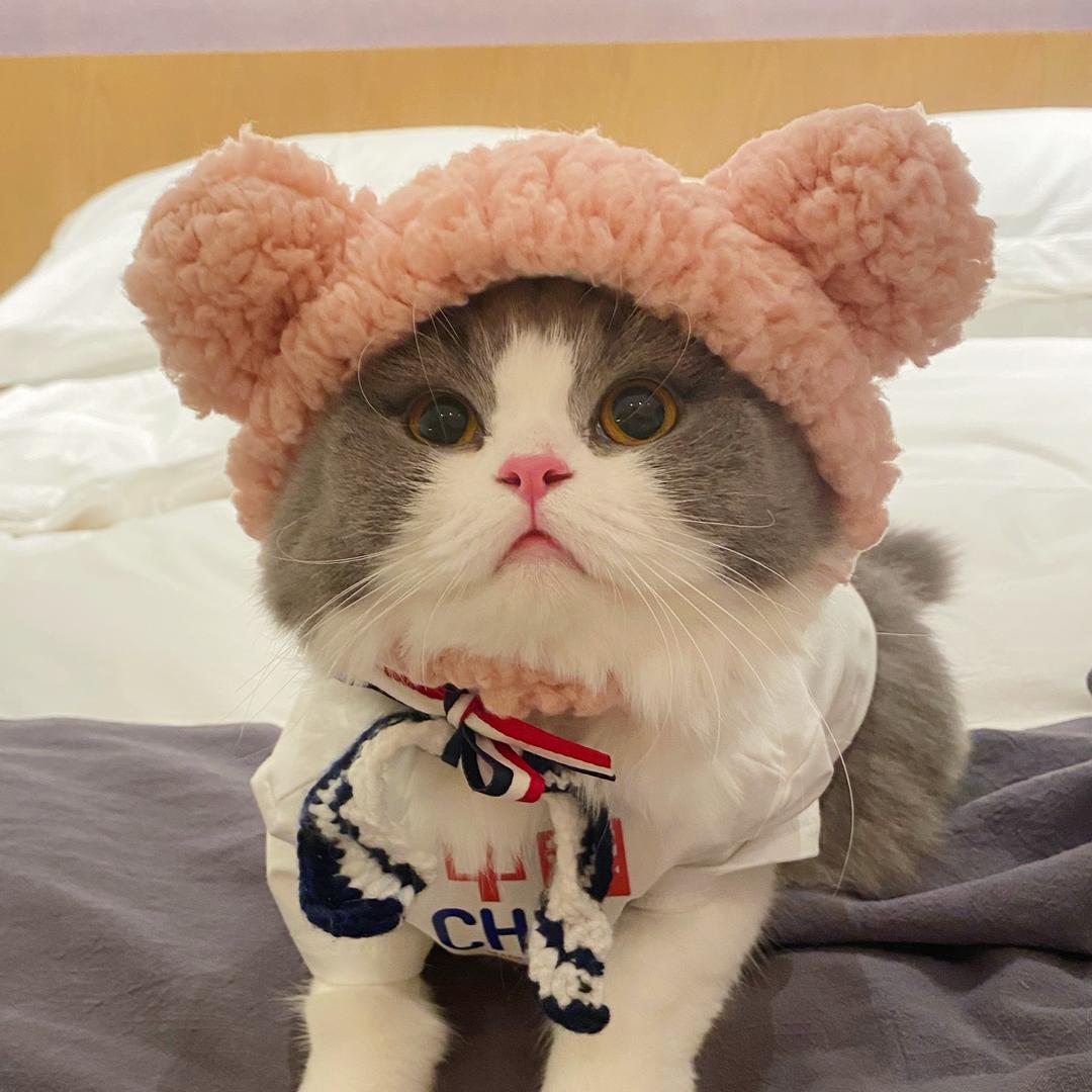滚滚在哪里