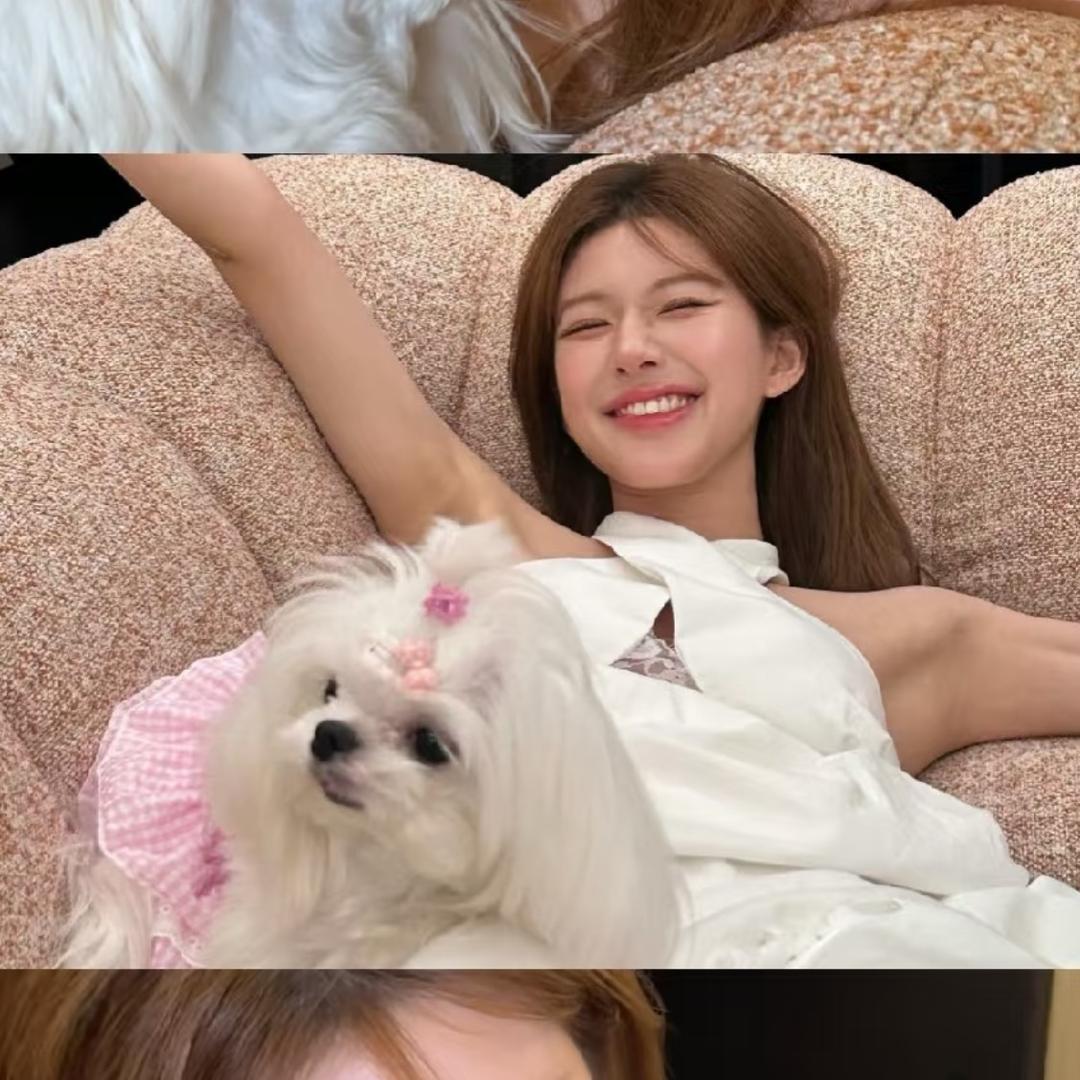 萌萌好物甄选商城《互》