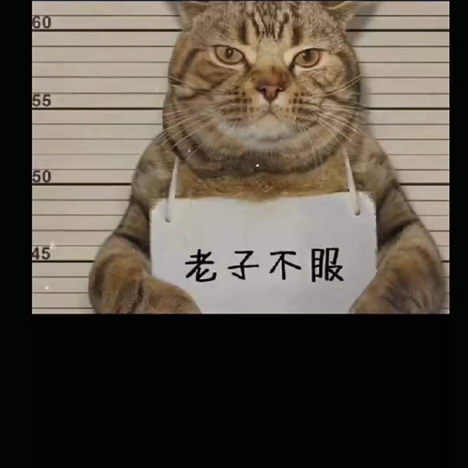吴优无虑